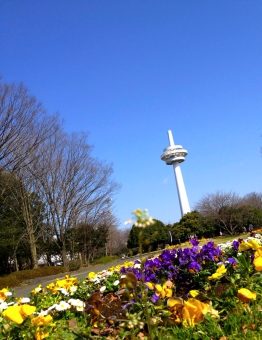 0401_.jpg