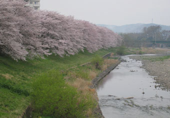 080407.jpg
