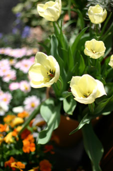 080429.jpg