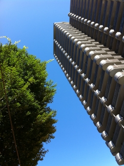 110710ao.jpg