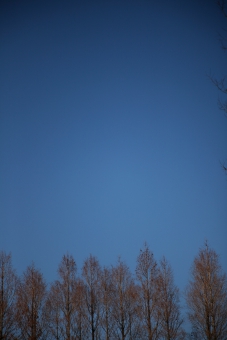 120109.jpg
