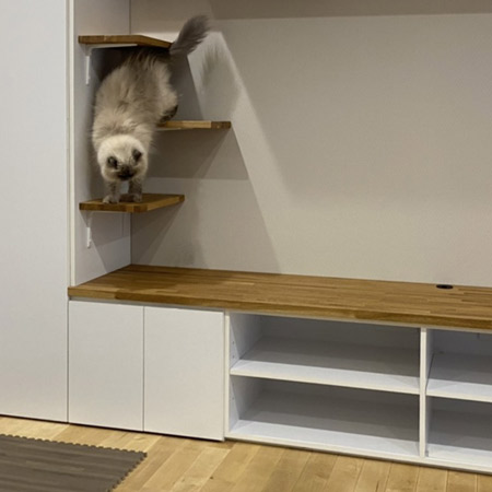 マンションのキャットウォークTV収納造作事例