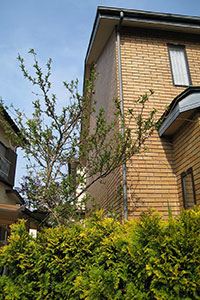 Before