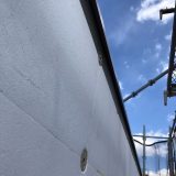 IMG_4282